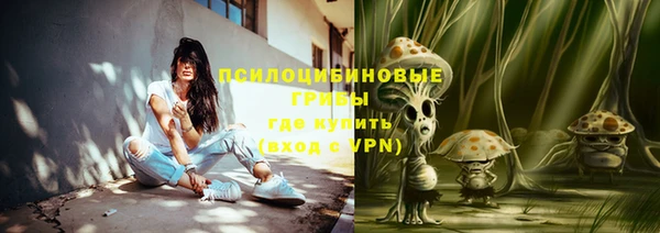 дурь Алексин
