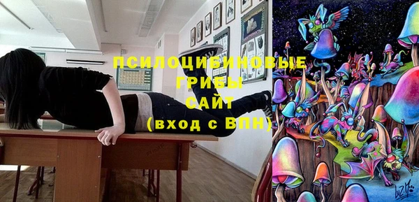 дурь Алексин