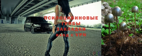 2c-b Алексеевка