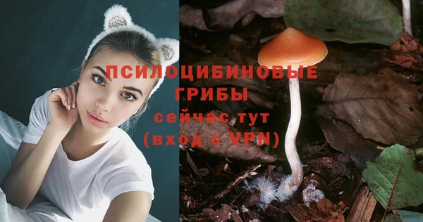 дурь Алексин