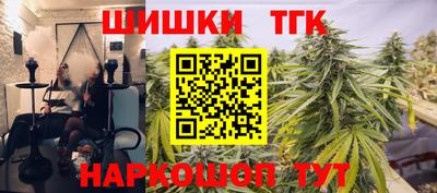 гидропоника Камышлов