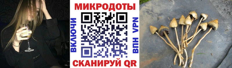 мориарти состав Ливны Галлюциногенные грибы прущие грибы